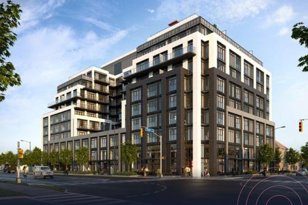 Curio Condos