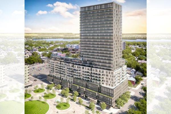 The Rebecca Condos